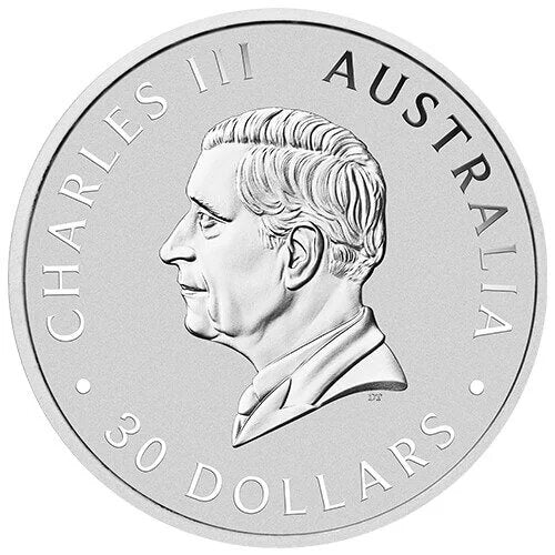 1 Kilo Silber Kookaburra 2025 - Image 2