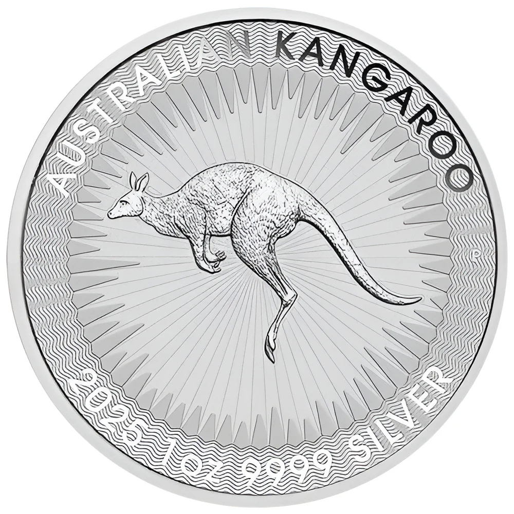 250 Unzen Silber Känguru 2025 - Masterbox mit 250 Stück - Image 2