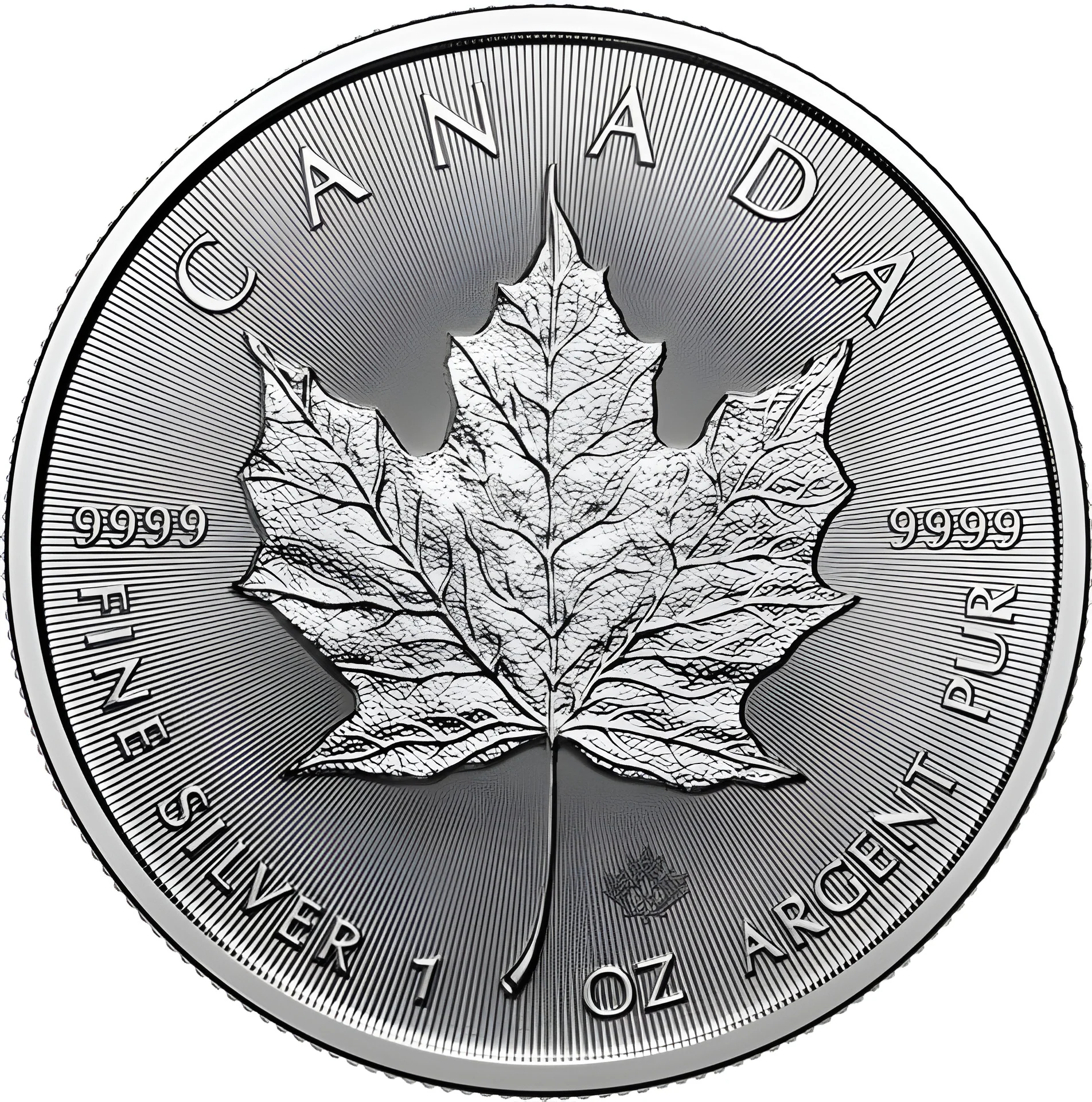 500 Unzen Silber Maple Leaf 2025 - Masterbox mit 500 Stück - Image 2