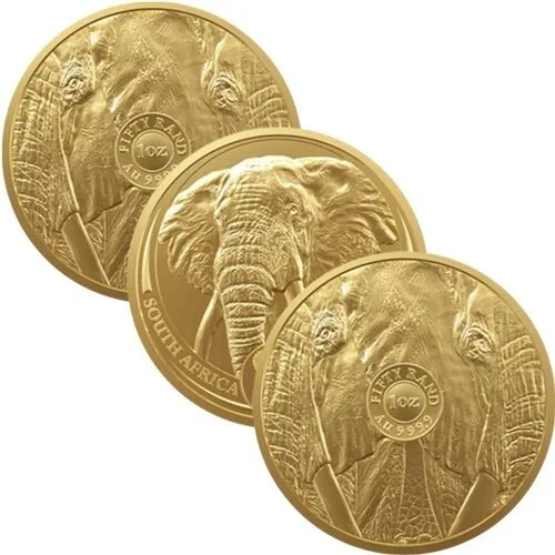 1 Unze Gold The Big Five Elefant diverse Jahrgänge - Image 3