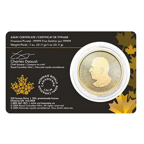 1 Unze Gold Klondike Goldrausch 2024 - Image 3