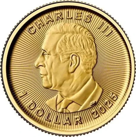 1/10 Unze Gold Maple Leaf 2025 - Image 2