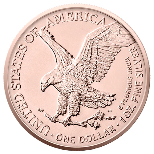 1 Unze Silber Eagle Sommer 2022 - Image 2