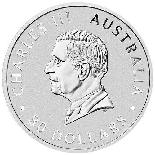 1 Kilo Silber Koala 2025 - Image 3