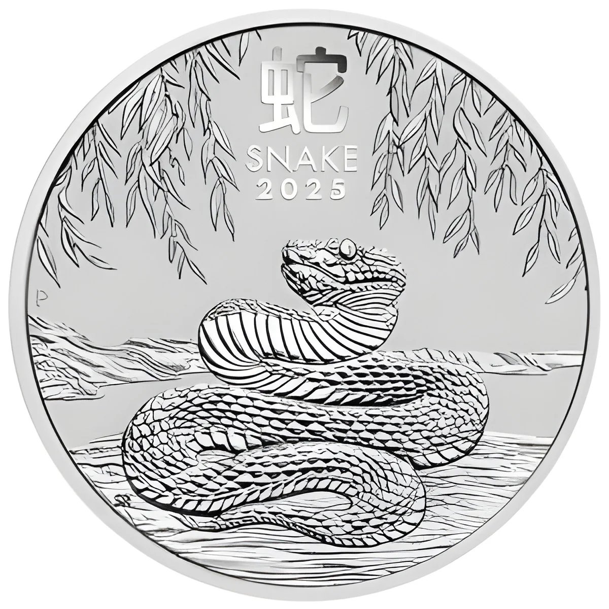 1/2 Unze Silber Lunar III Schlange 2025